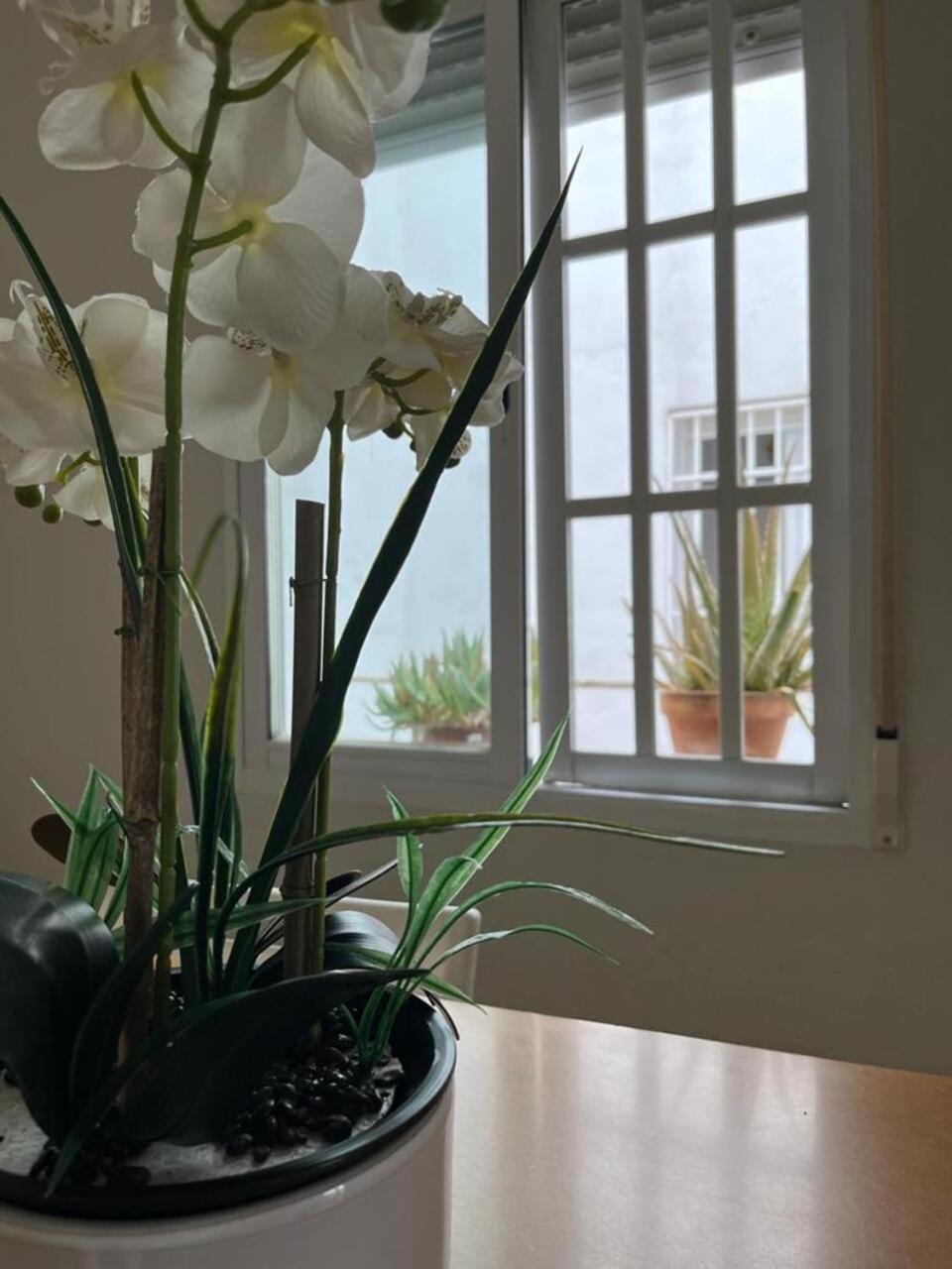 דירות קורדובה El Balcon De La Torre מראה חיצוני תמונה